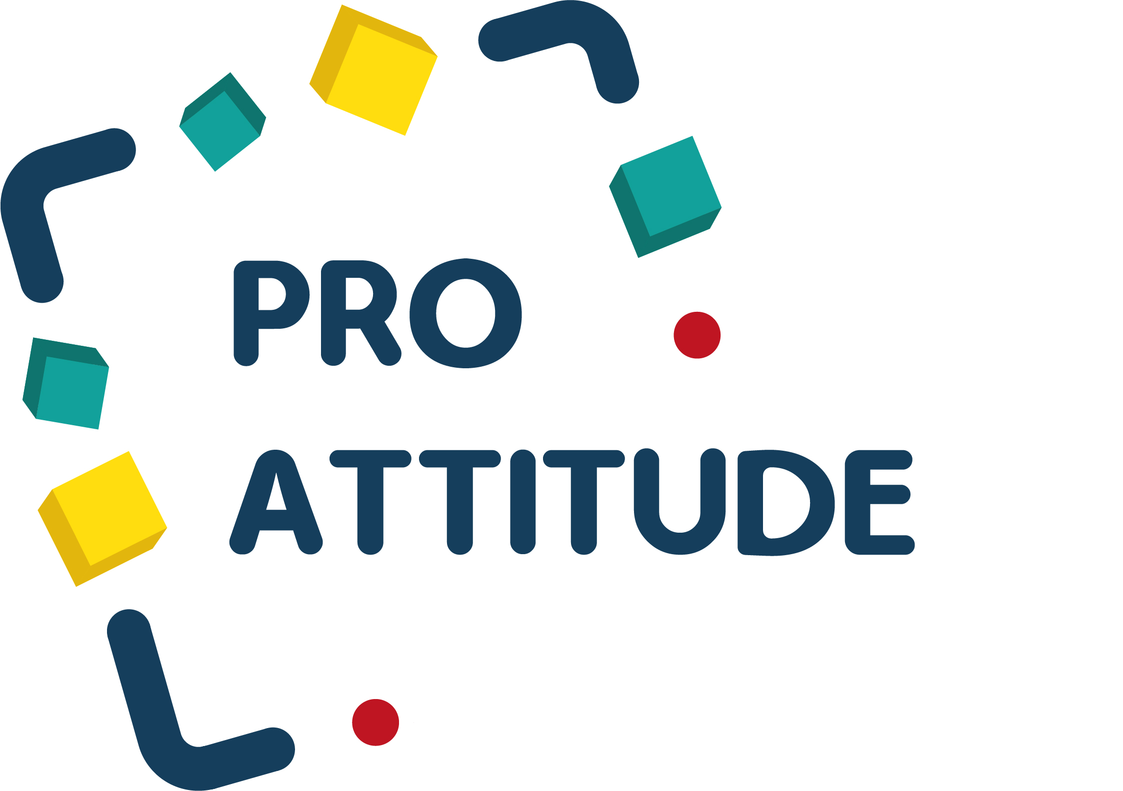 Pro Attitude Coaching